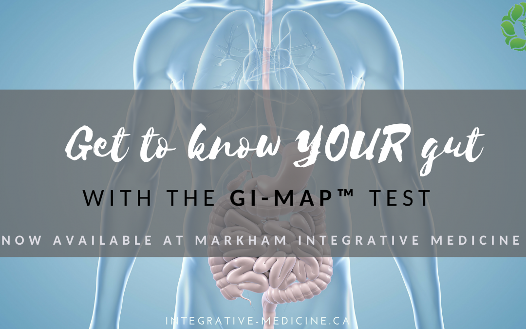 Get To Know Your Gut with the GI-MAP Test