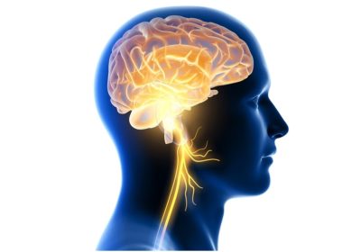 Vagus Nerve and Histamine
