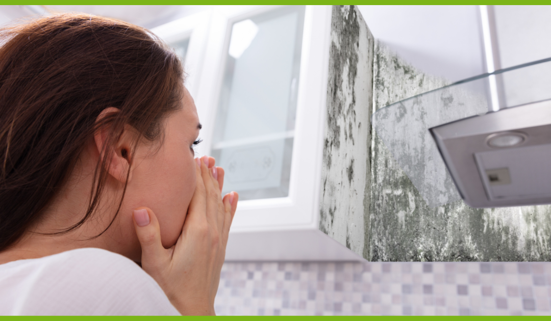 Detecting Mold in Your Home – Clues to Look for