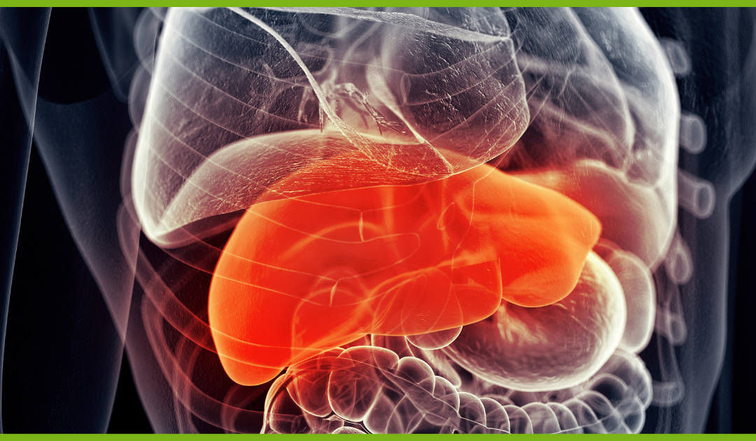 Fatty Liver and What to Do About It