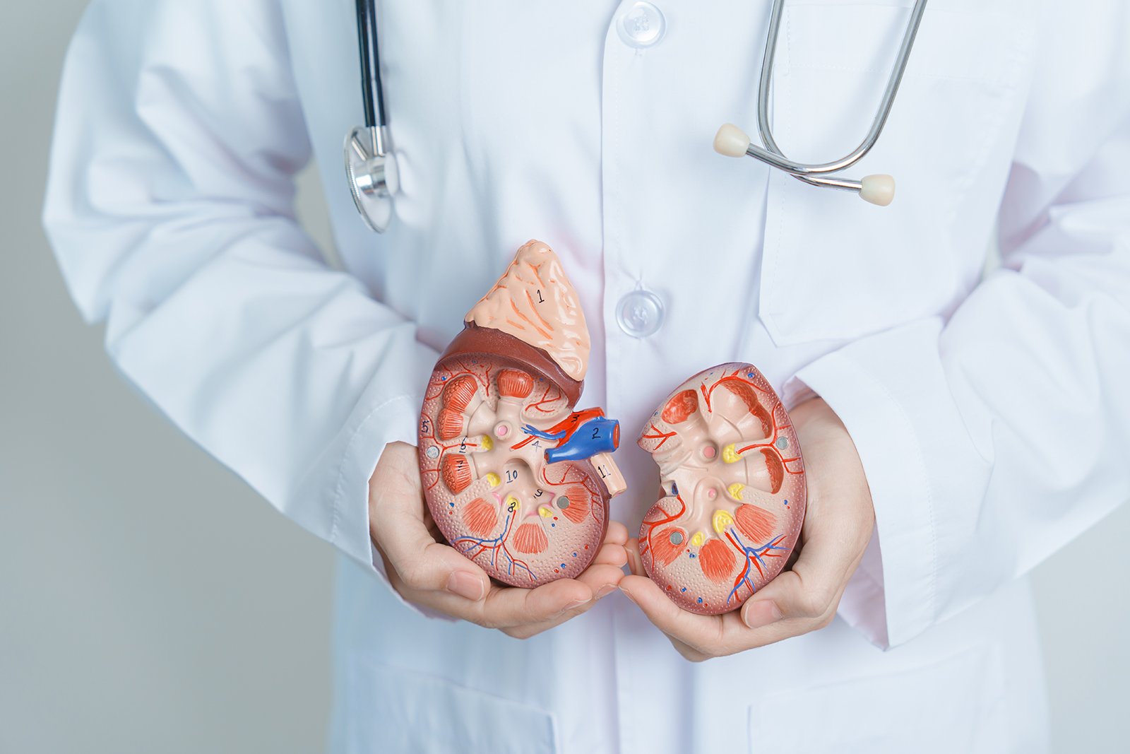 Adrenal Support: The Best Supplements for Adrenal Health
